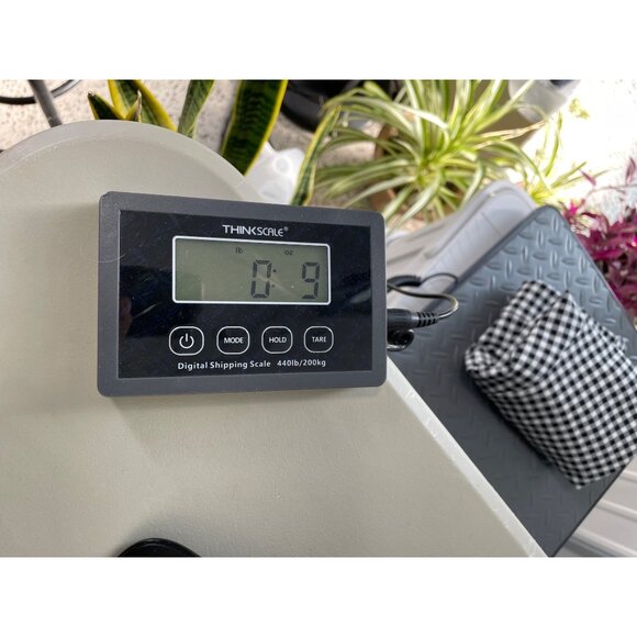 Old Navy Pixie High Rise Gingham Shorts Womens 6 Secret Smooth Pockets Black NEW - Picture 12 of 12